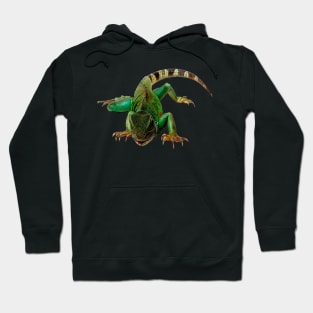 Green Iguana Hoodie